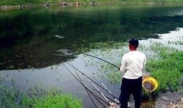 春天钓鱼爆料最新消息图片,揭秘春天钓鱼爆料最新动态