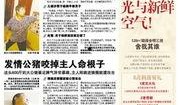 最新季节爆料新闻内容,最新季节变化带来的自然奇观与生活启示