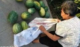 西昌吃瓜最新事件爆料,揭秘背后真相与网络热议