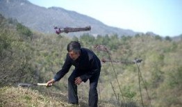 大别山人最新爆料视频,揭秘事件背后惊人真相