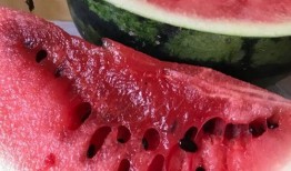 福州西瓜最新爆料,最新爆料揭秘口感与品种大比拼
