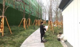 禹洲博学最新爆料,揭秘行业黑幕，深度解析市场动态