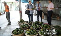 襄阳吃瓜最新事件爆料新闻,揭秘最新事件背后真相