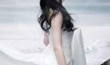 天涯爆料刘亦菲最新消息,天涯爆料揭秘女神近况