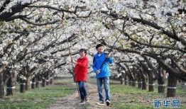 赵县秀才营最新爆料,最新爆料揭示不为人知的背后故事