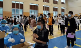 新龙小丑爆料最新消息,揭秘娱乐圈最新动态