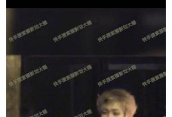 刘大锤最新爆料金庸视频,金庸视频背后的惊人内幕