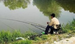 春天钓鱼爆料最新消息图片,揭秘春天钓鱼爆料最新动态