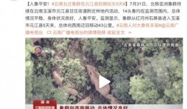 大别山人最新爆料视频,揭秘事件背后惊人真相