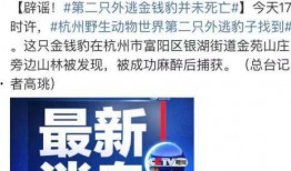 潮汕地产爆料事件视频最新,揭露行业乱象，维权之路何去何从？