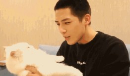 谭松韵最新吃瓜爆料图片,揭秘娱乐圈幕后真相