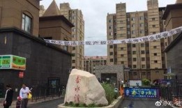 长春小区最新爆料,揭秘神秘事件背后的真相