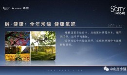 西格文技能爆料最新,前沿技能解析与未来趋势展望