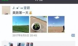 最新爆料更新视频,视频内容深度解析，带你走进事件真相