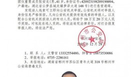 郏县辅警最新爆料公告公示,公告公示揭示真相