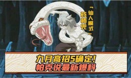 9月高招s爆料最新,最新爆料揭示高招政策与趋势